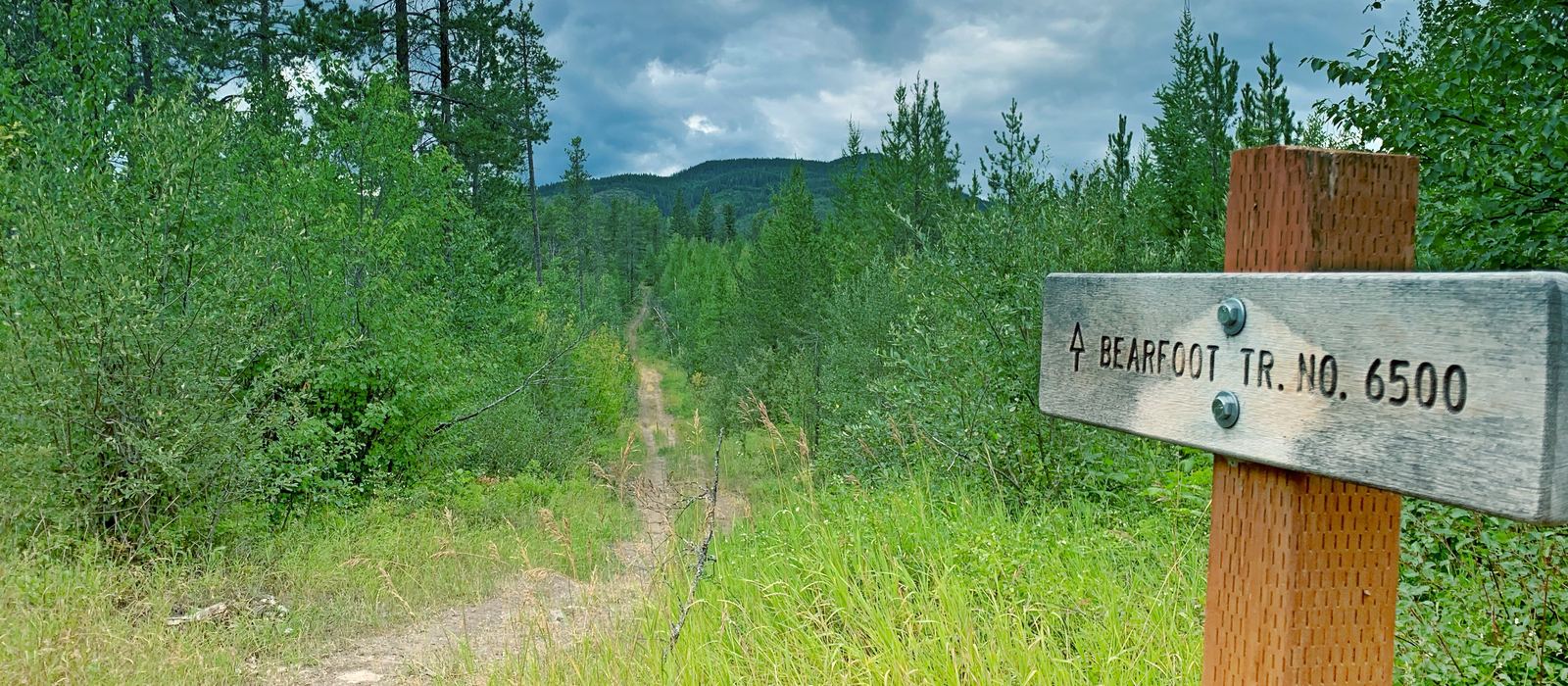 A wooden trail sign reading Bearfoot Trail No. 6500 where a two-track meets deep summer grass, forested ridges behind