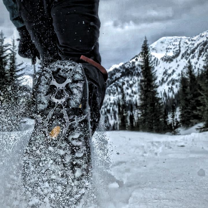 A snowshoe kicking up powder on a packed winter trail, snow-loaded firs and a white ridge behind