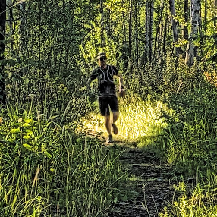 A trail runner coming through a corridor of aspen in low golden light